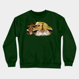 Gaboon Viper Crewneck Sweatshirt